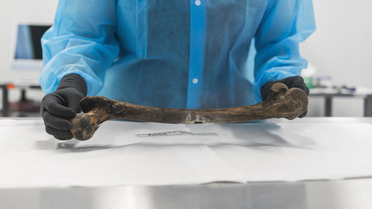 The tech helping crack decades-old cold cases