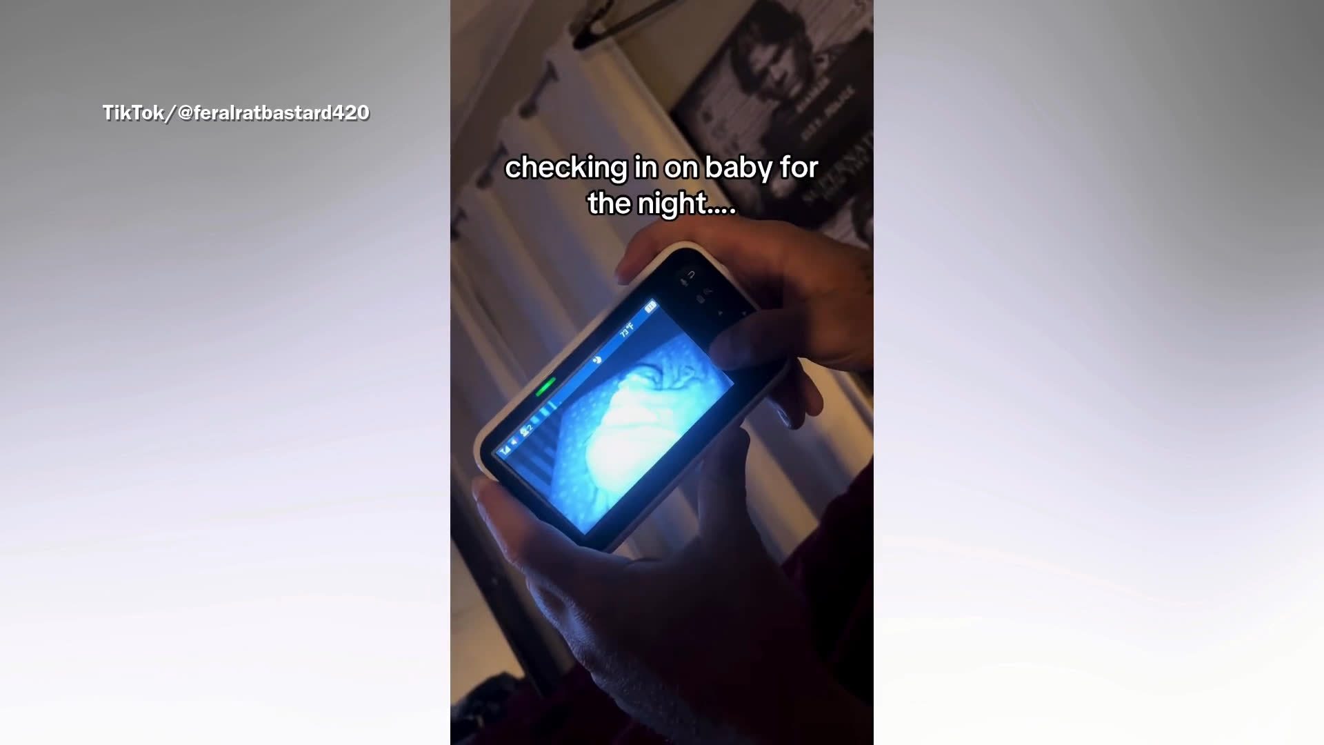 Parents find cat on baby monitor
