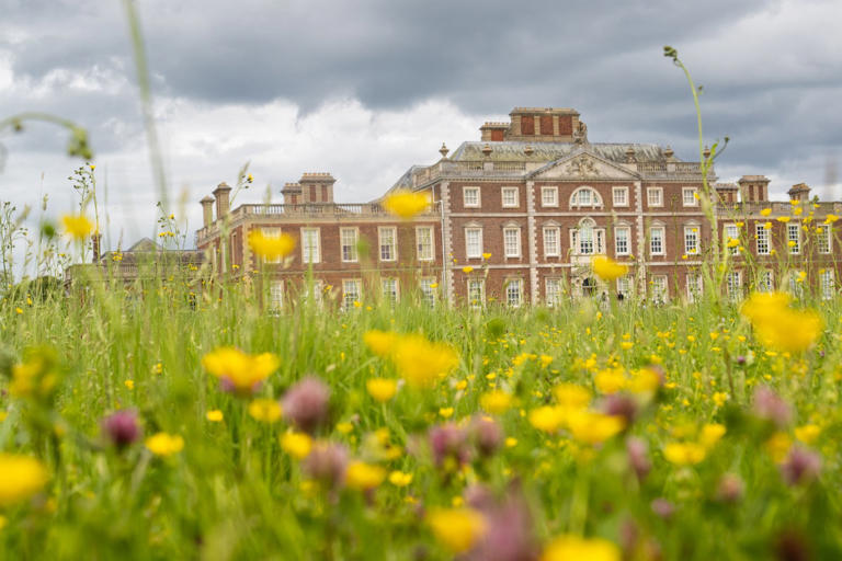 Wildlife bucks challenges with 5,000 species recorded at National Trust ...