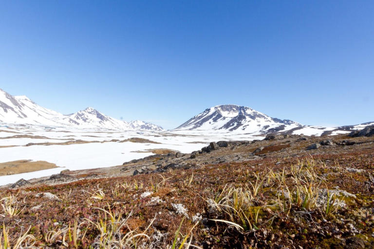 Forgotten samples from Greenland's Cold War base reveal warmer summers ...
