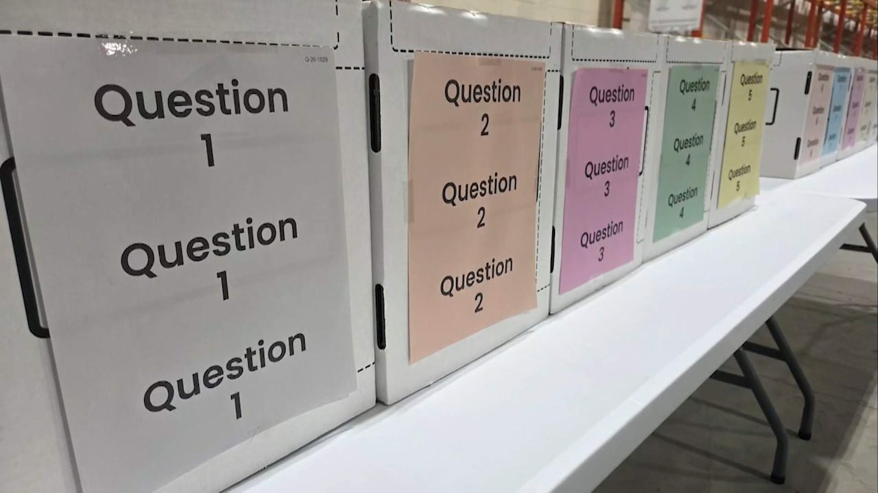 Analysis | The other 9 referendum questions