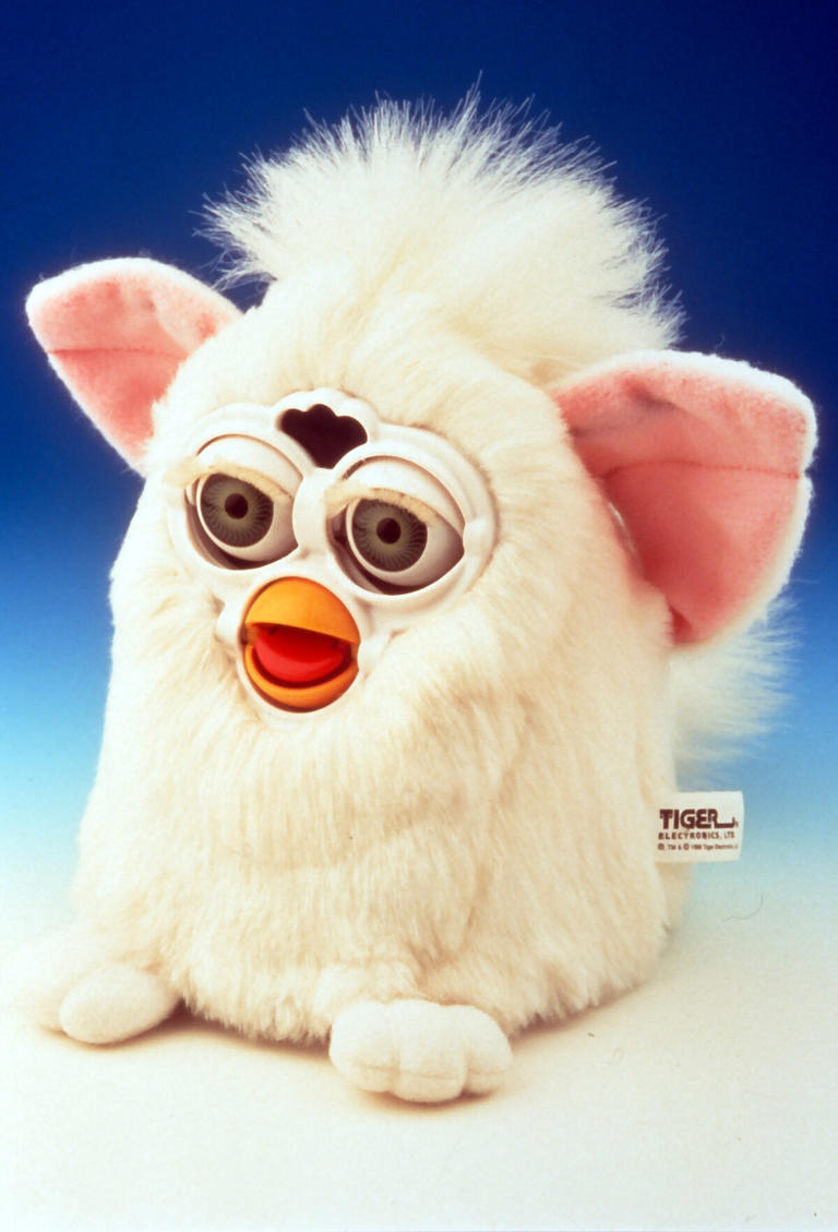 A celebrity feud made his $15,000 birds go viral. Now orders are ...