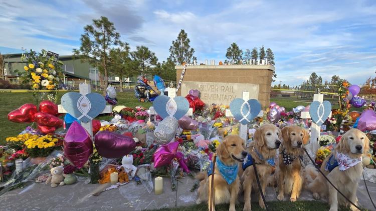 Local comfort dogs support Bend, Oregon, community following deadly ...