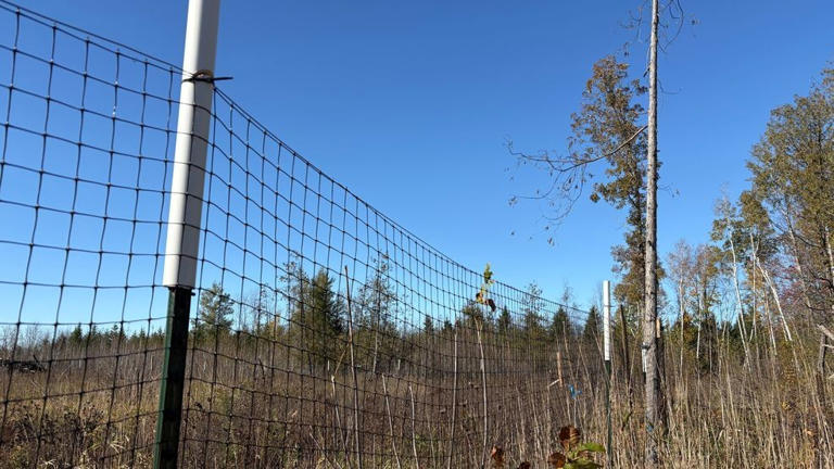 Forest Products Week tour at Kewaunee County tree farm