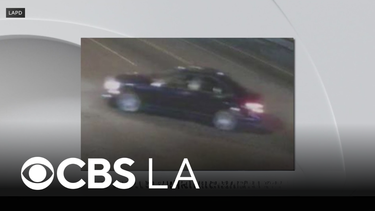 South Los Angeles hit-and-run driver arrested for killing 83-year-old ...