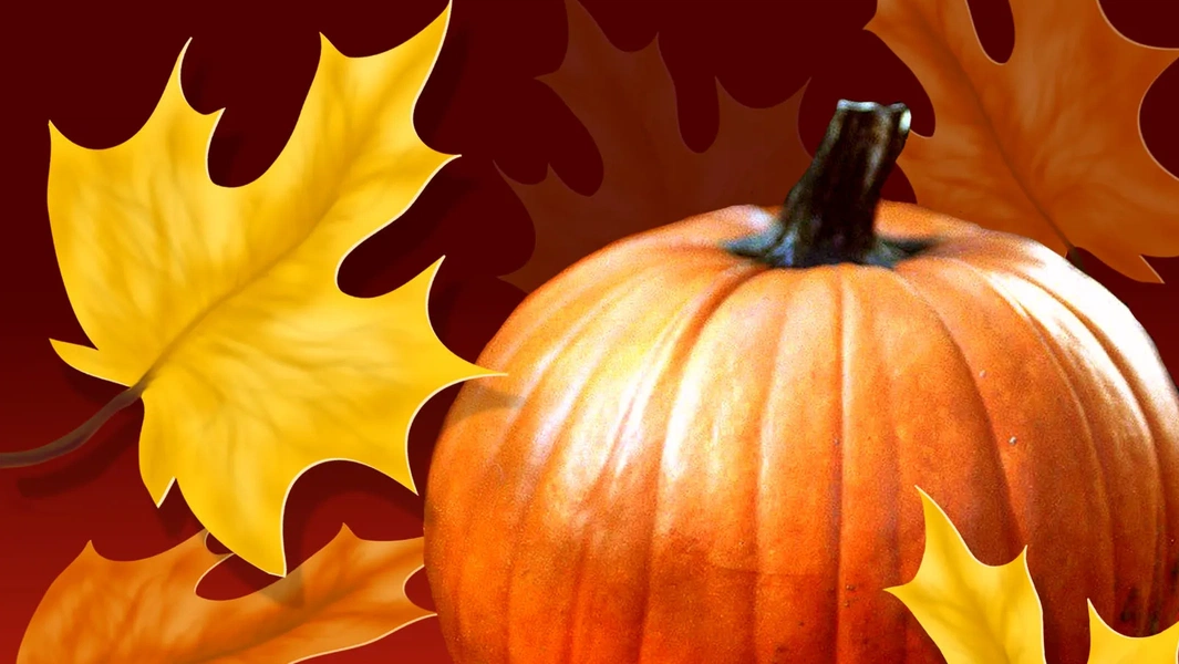 Pumpkin desserts blend tradition with creative fall twists