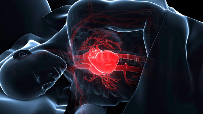 The way you sleep can reveal your risk of heart failure up to 10 years ...