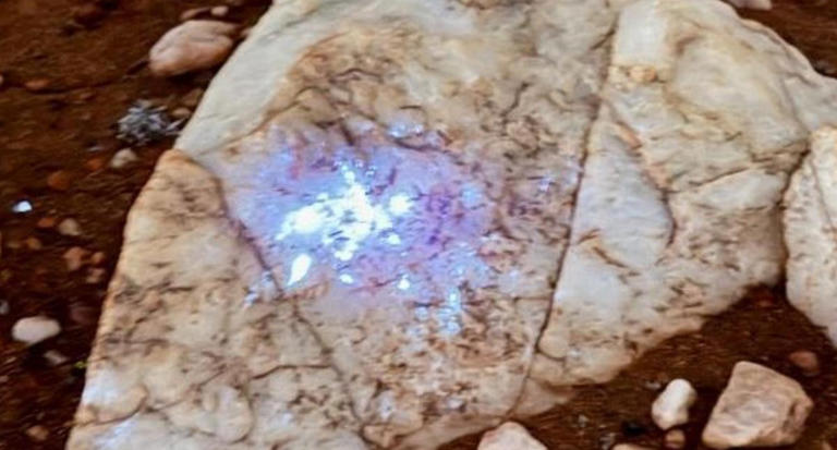 Dreadnought Resources granted $180,000 for EIS RC drilling of Nina ...