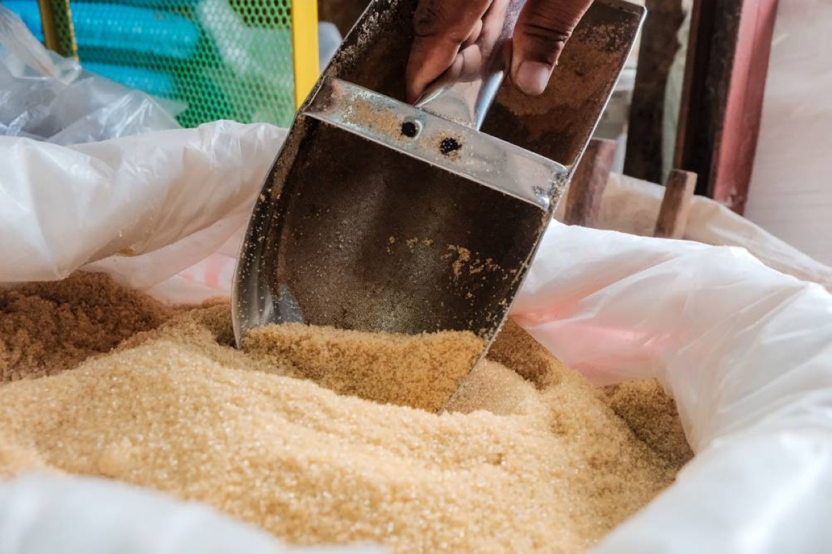 Raw sugar production volumefalls 11%, refined sugar grows