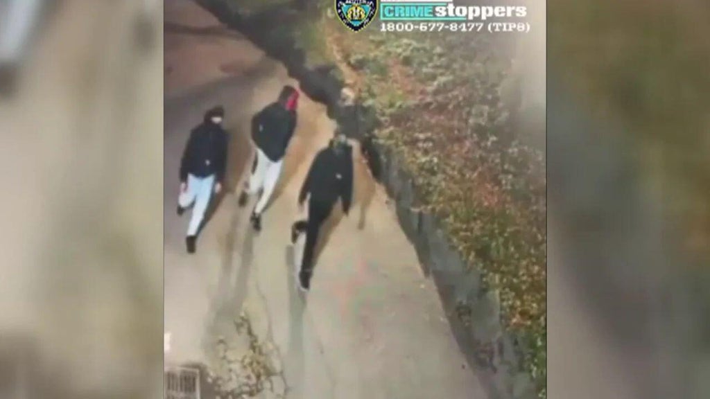 Woman recounts brutal attack by 3 men in Central Park: 