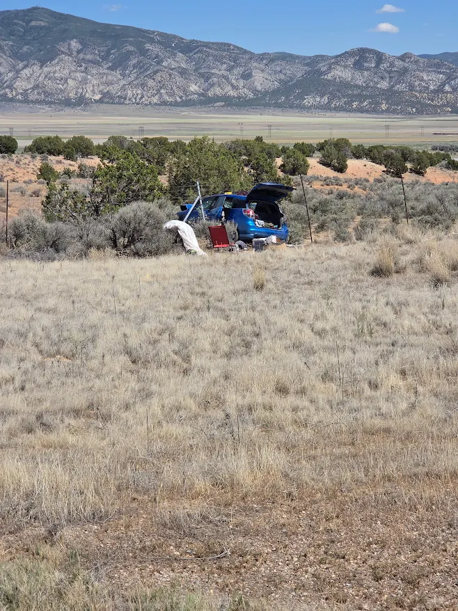 Woman caused deadly crash on I-15 while using phone to view pornography ...