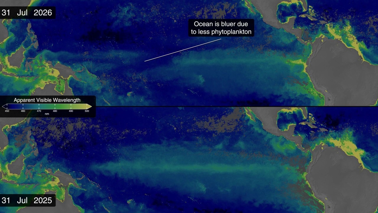 NASA images reveal unusual Pacific Ocean color shift amid strengthening ...