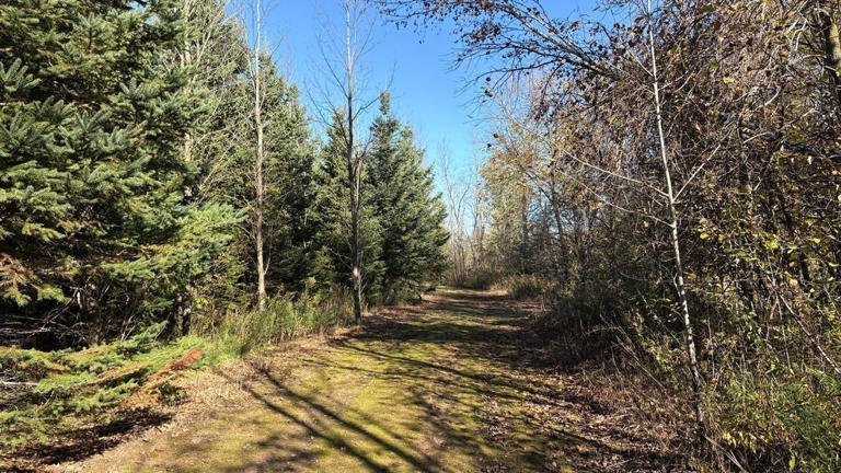 Forest Products Week tour at Kewaunee County tree farm
