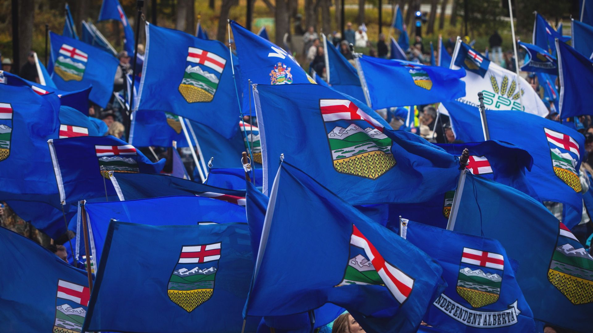 Alberta referendum: Where does the separatist movement go from here?