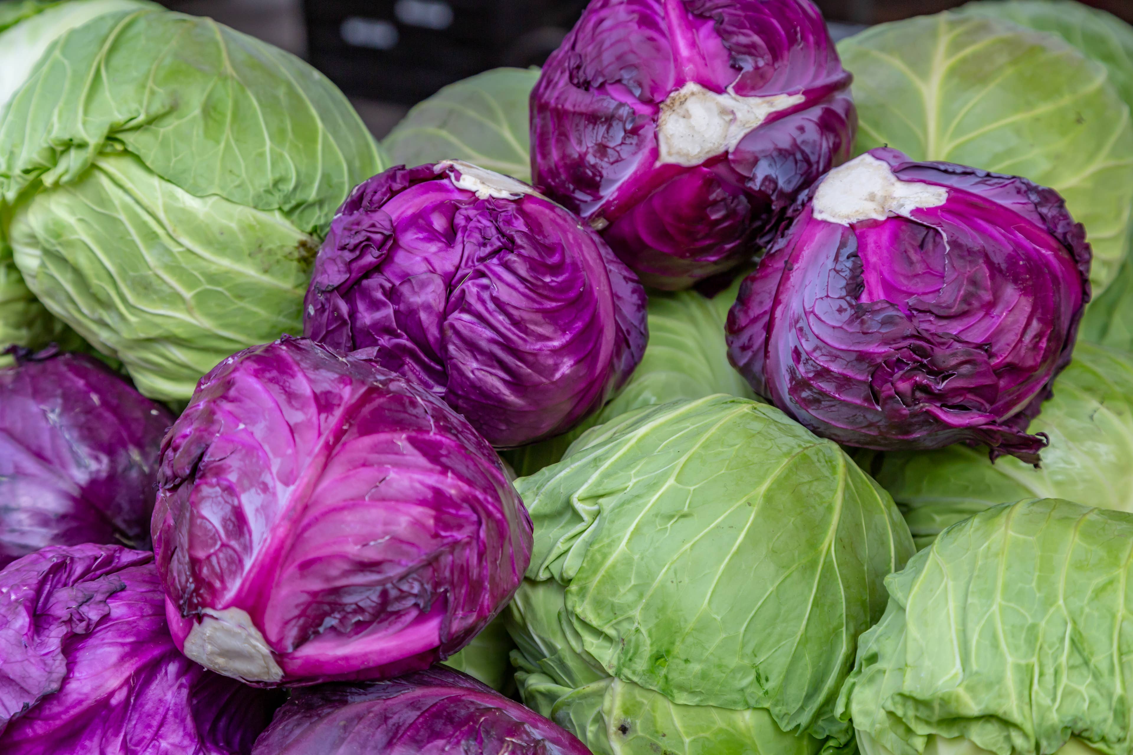 12 types of cabbage and how to use them beyond coleslaw