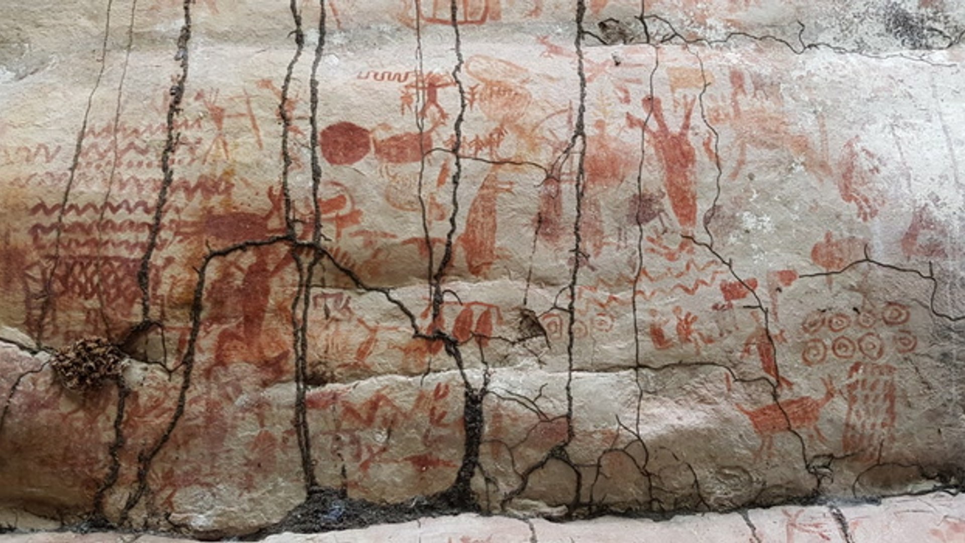Ice Age rock art discovered hidden in Amazon rainforest