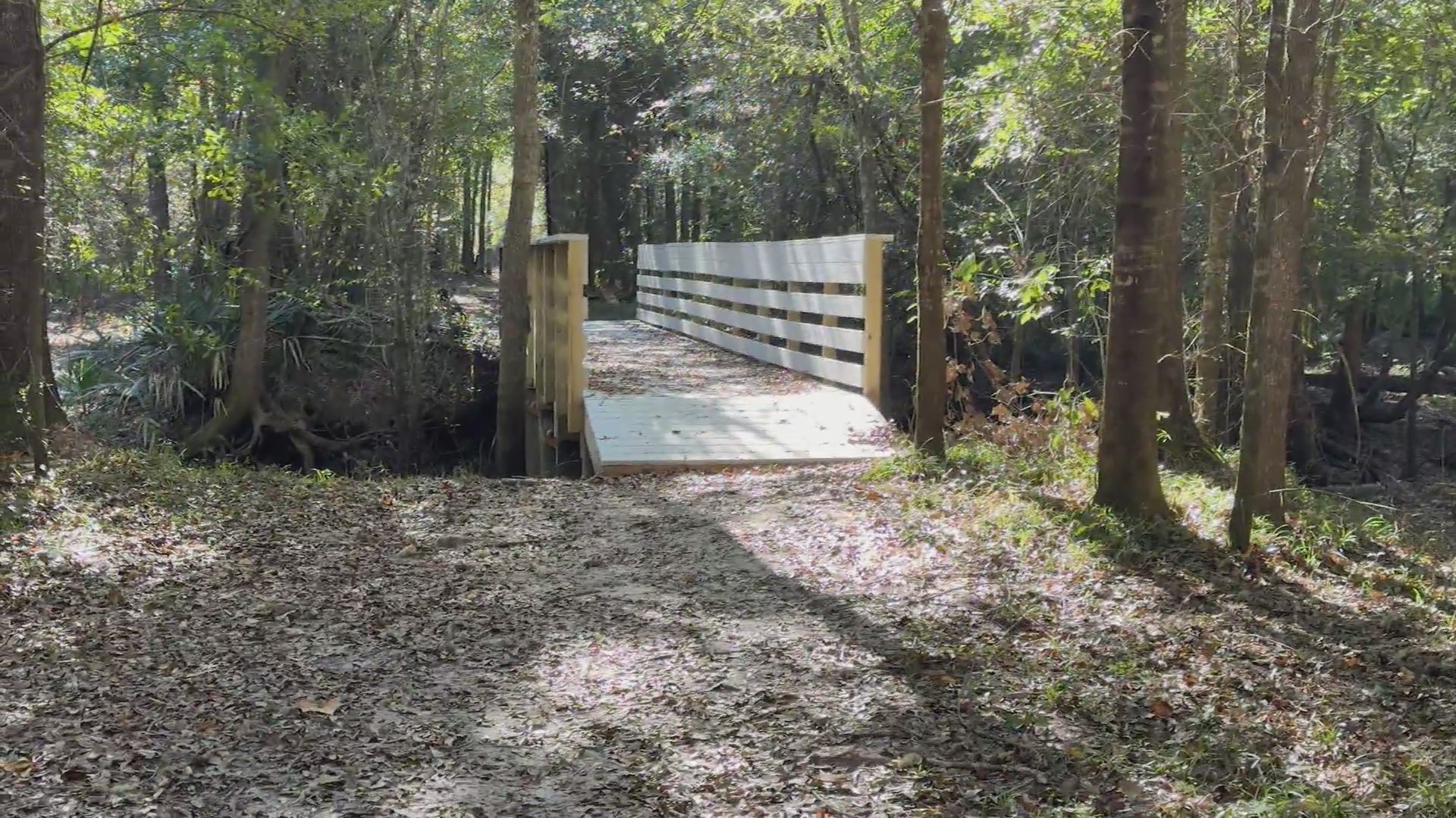 Bellamy Bridge: A ghost story, walking trails, and guided tours