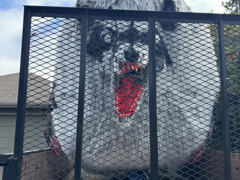 Massive 'Jimothy' Halloween display pops up on West Coast after viral ...