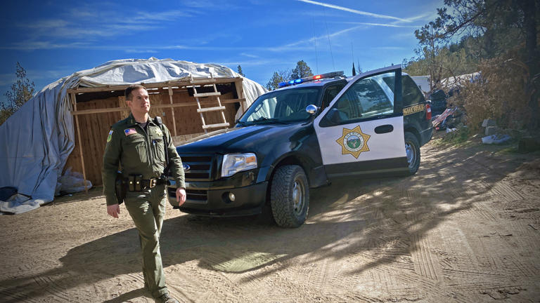 Gallagher asks FBI to investigate illegal marijuana grows in Shasta ...