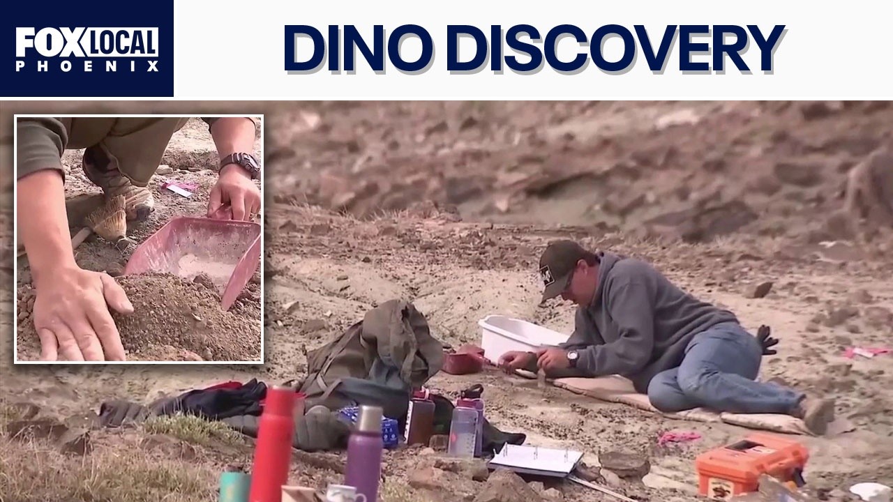 Dinosaur fossils dug up in Utah reveal new species