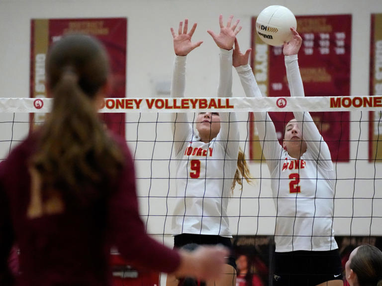 Sarasota, Manatee roundup: Venice, Cardinal Mooney volleyball advance