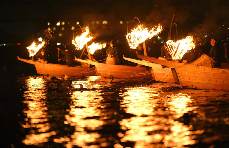 Japan's cormorant fishing season draws nearly 85,000 boat spectators