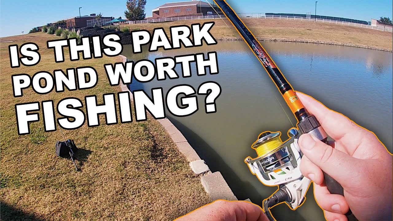 Fall bass fishing at a new park with surprising potential
