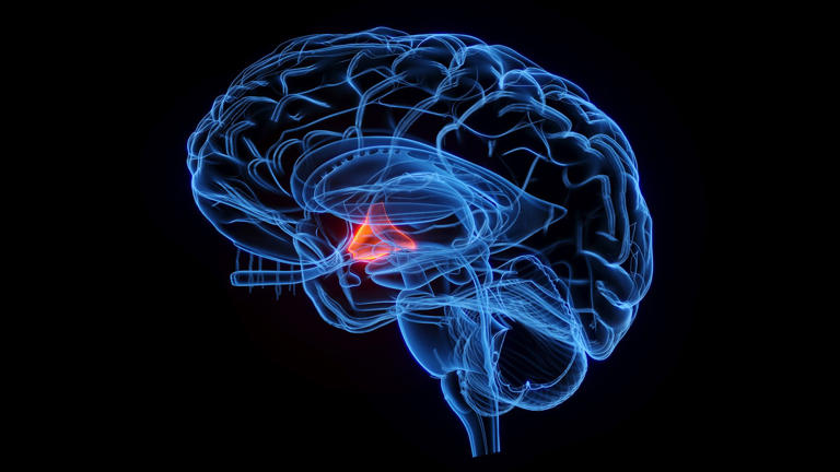 New type of depression is related to sleep, scientists report