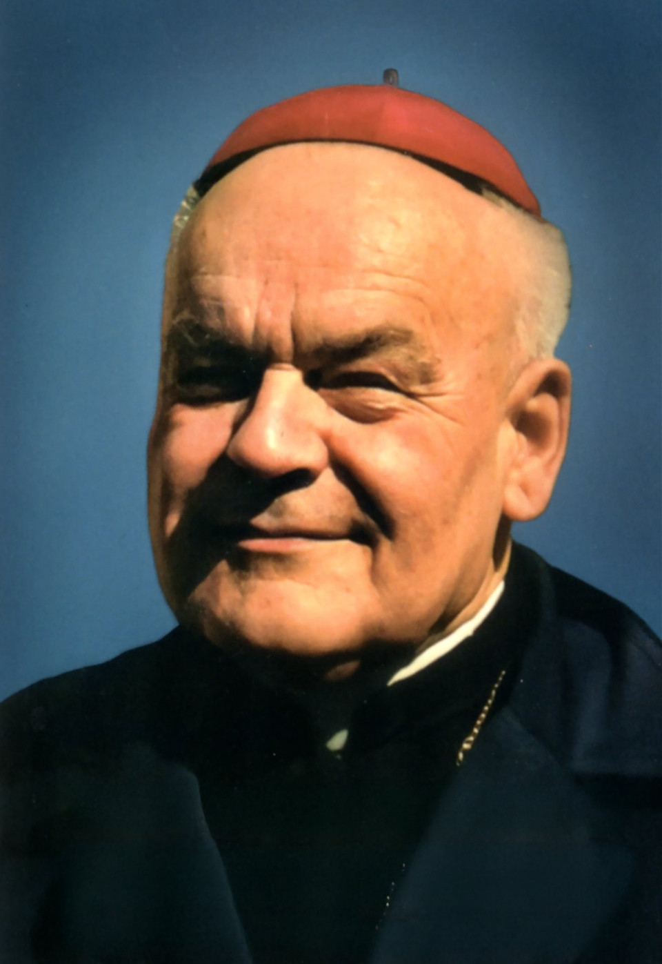Pasterz niezłomny. Bp Jan Olszański (1919-2003)