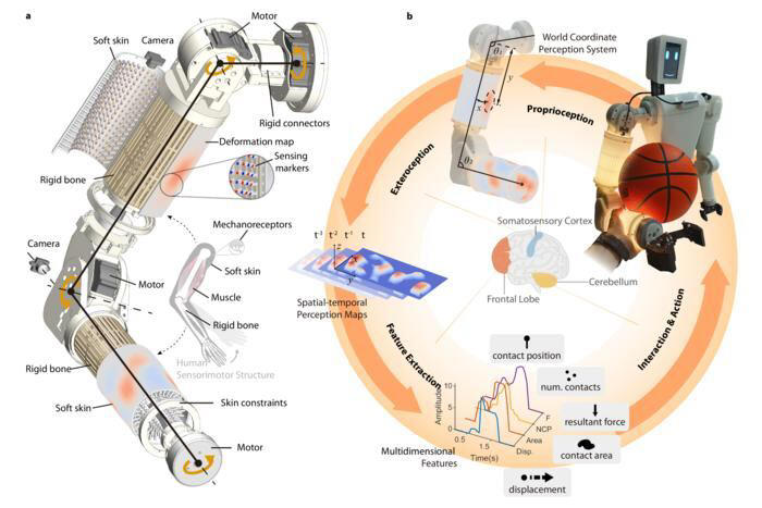 HKUST develops human-touch-sensing robotic arm EmArm