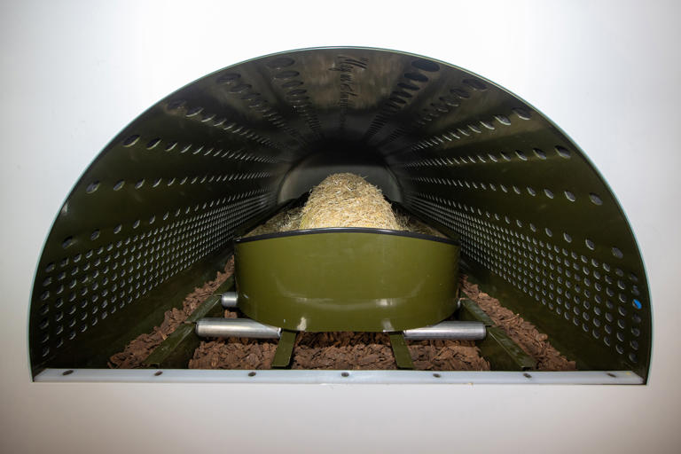 Aussie state passes bizarre plan to turn bodies into human compost ...