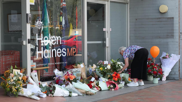 ‘Devastating’: MP attack suspect faces court