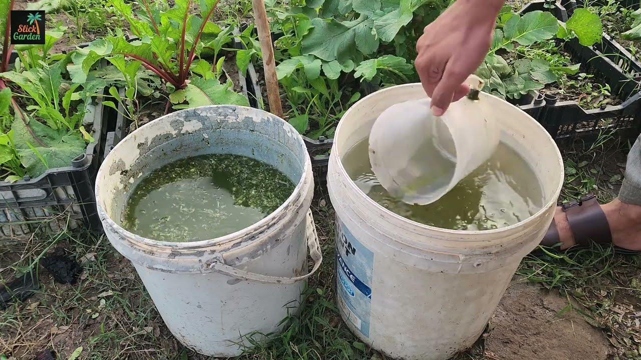 DIY fertilizer ideas using everyday organic materials