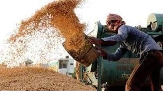 Haryana allows procurement beyond paddy yield limits after verification