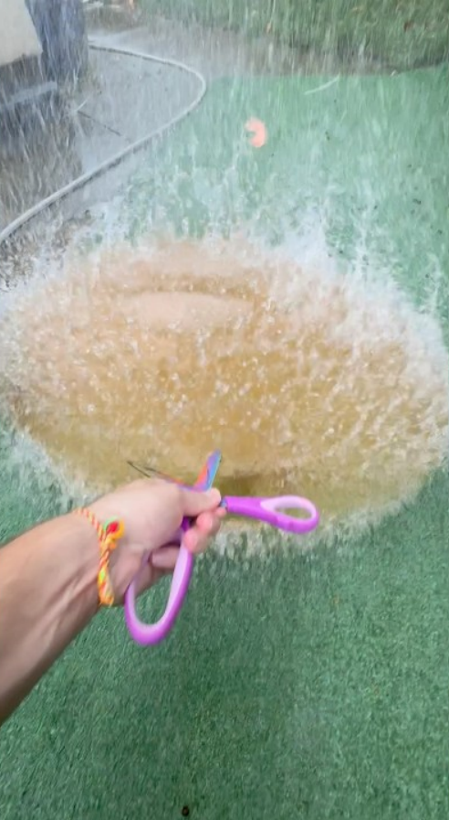 Orange fish flooded my garden and I didn’t expect this