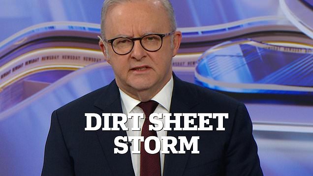 Albanese responds in light to Helen Haines dirt sheet storm