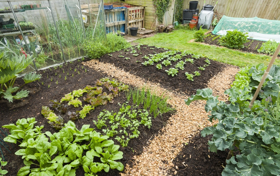 Monty Don urges October mulch for raised beds to ease spring planting