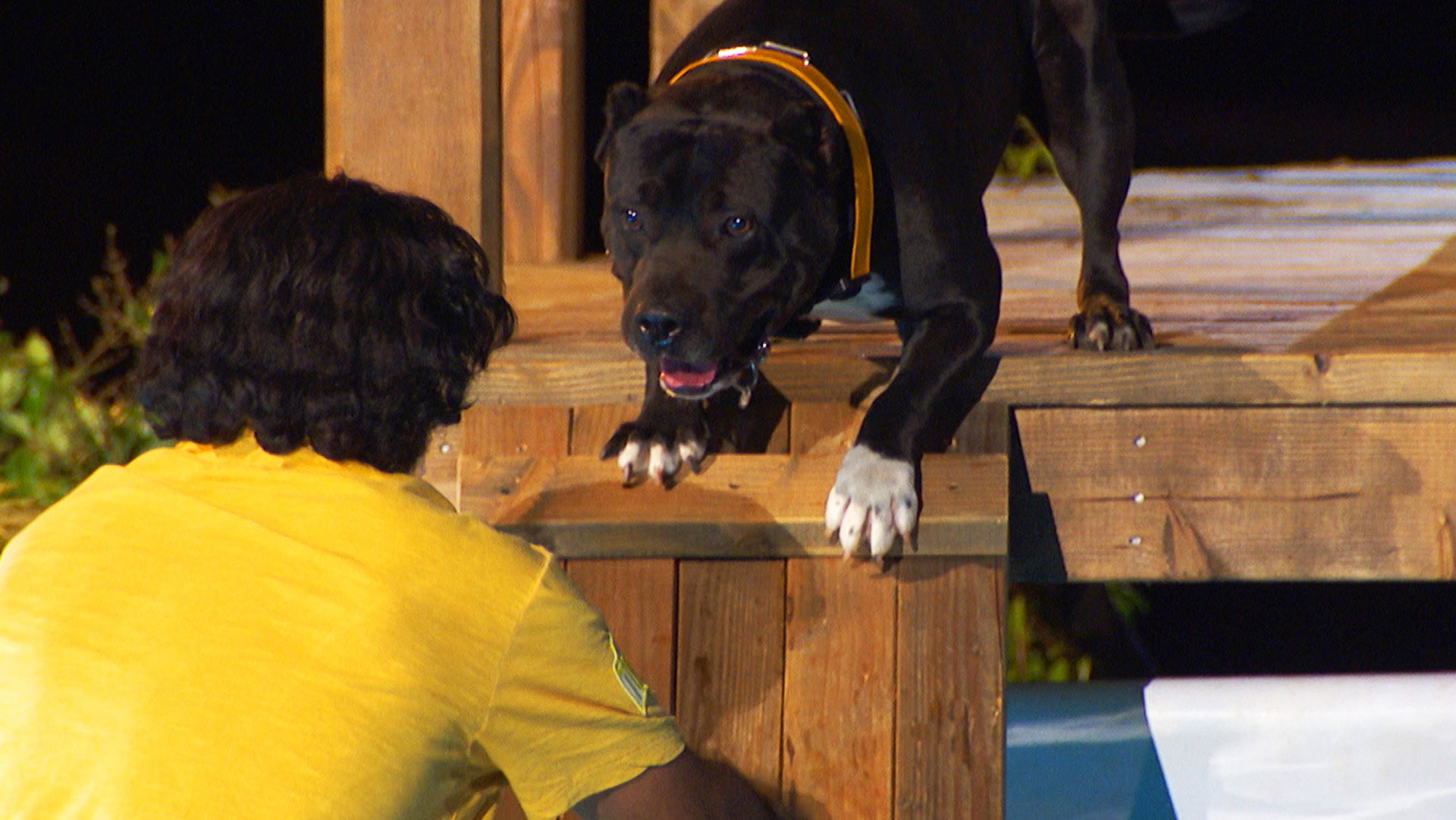 Pitbull Mix Leonittis Conquers His Fear of Water | America's Top Dog