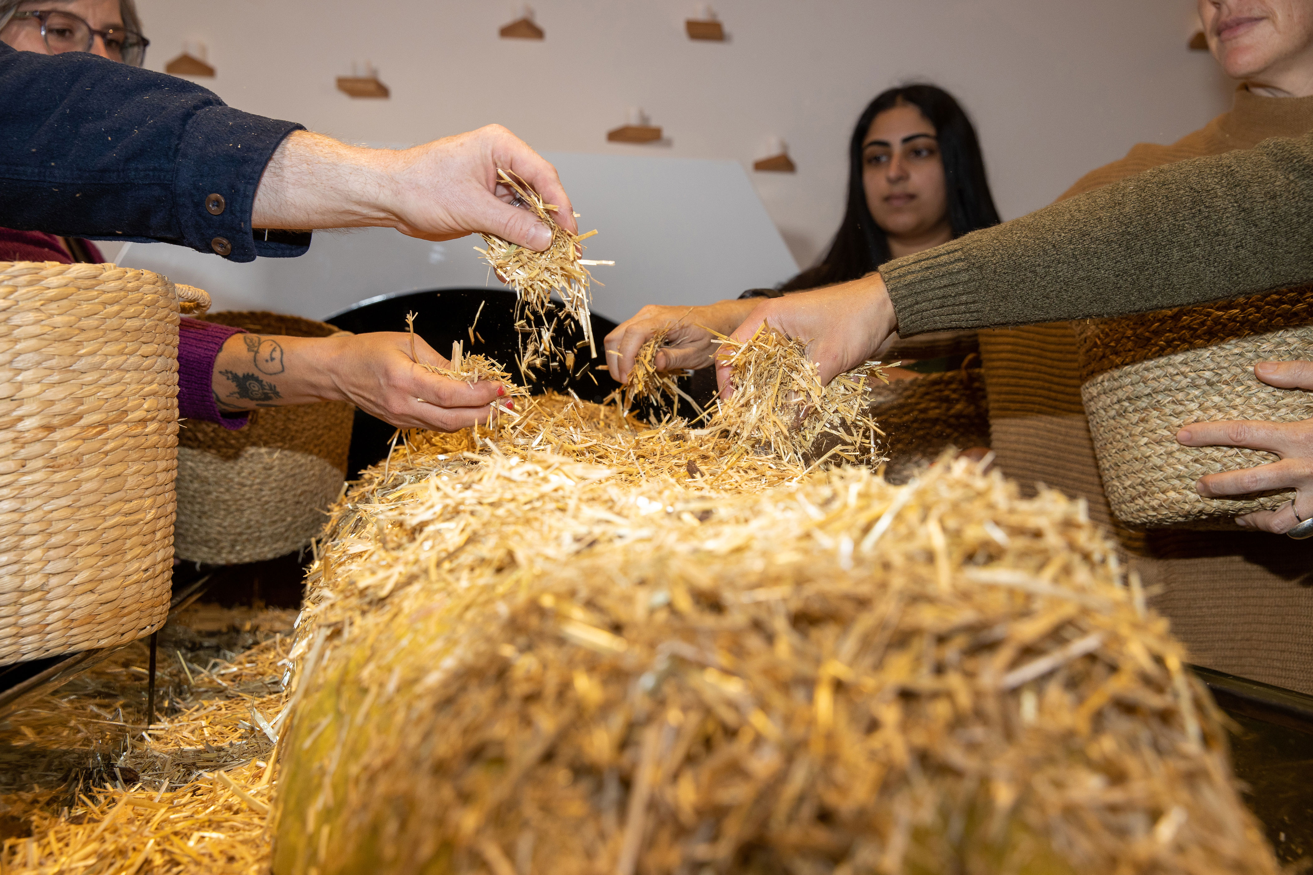 Aussie state passes bizarre plan to turn bodies into human compost ...
