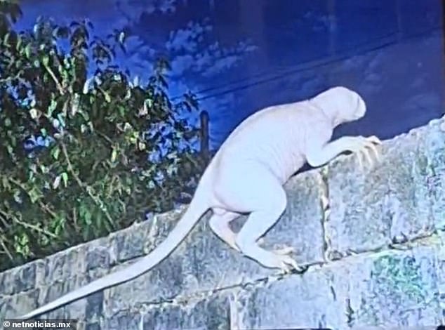 Mysterious humanoid predator lurking near US border, UFO investigator ...