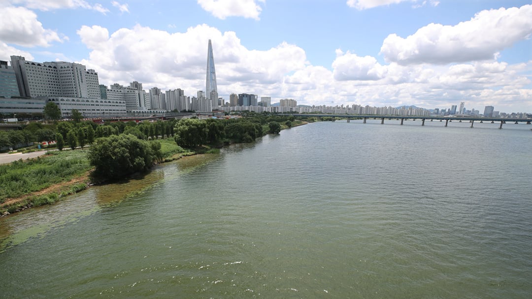 Skeletal remains found along Han River in Songpa-gu