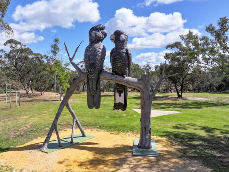This WA town’s most endangered local is Australia’s new big thing