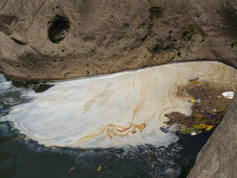 Authorities probe potentially toxic foam on San Juan River in Laguna