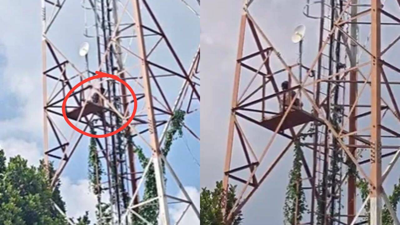 Newlywed climbs mobile tower twice in 3 days, demands search for ...