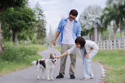共働きの家庭で犬を飼うことはできるの？愛犬にツライ思いをさせないための心得とは