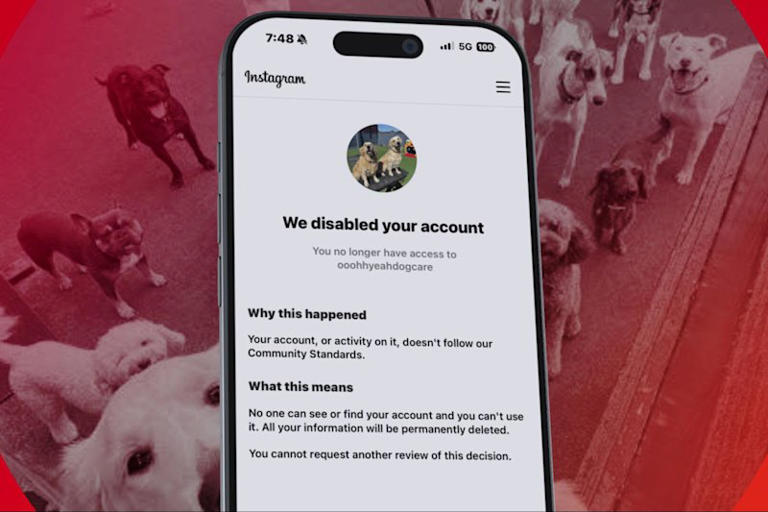 Doggie day care owners devastated as Meta deactivates Instagram account
