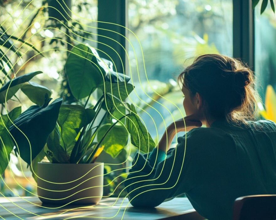 Cette startup veut apprendre à communiquer avec les plantes grâce à une ...