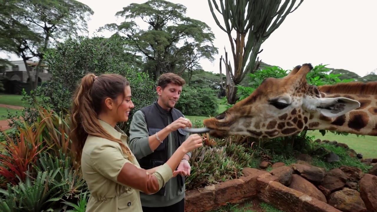 Staying at a $900-a-night hotel where giraffes visit your window