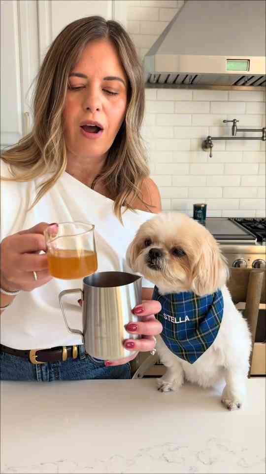 How to make a doggy pumpkin latte for a fun fall treat