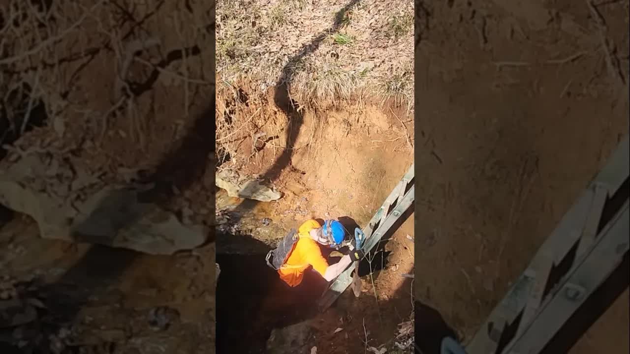 Heavy rain opens a cave in a man's front yard - explorers find fossils ...